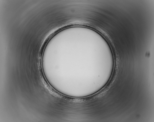 X0000115111029200911171300
