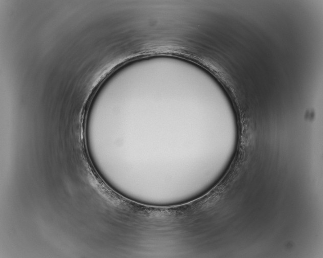X0000115111031200911171300