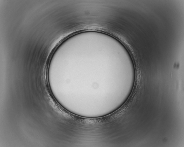 X0000115111032200911171300
