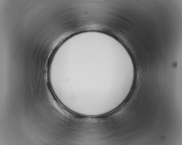 X0000115111034200911171300