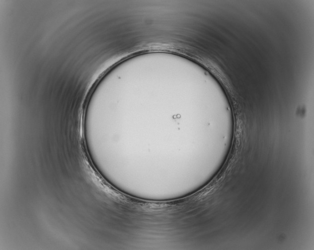 X0000115111036200911171300