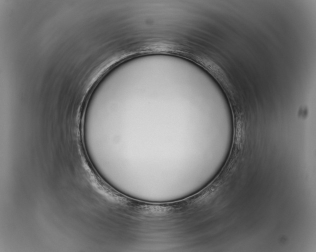 X0000115111039200911171300