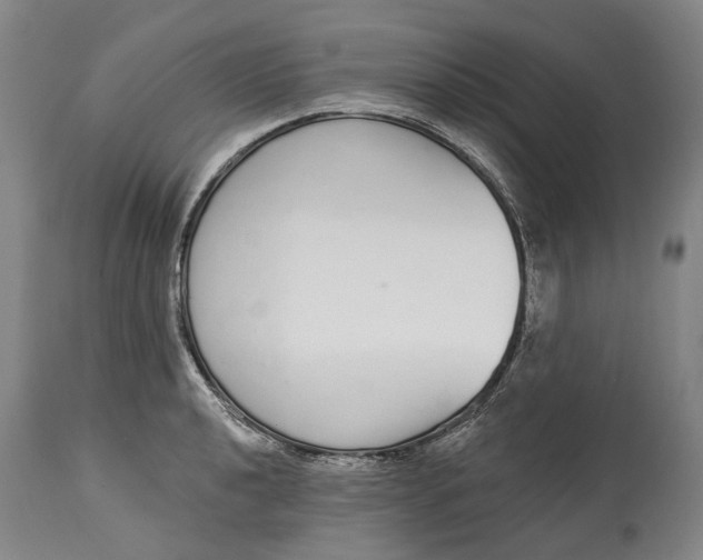 X0000115111040200911171300