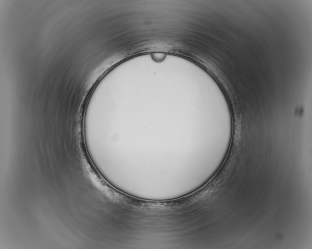 X0000115111042200911171301