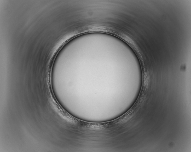 X0000115111043200911171301