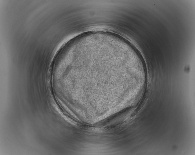 X0000115111045200911171301
