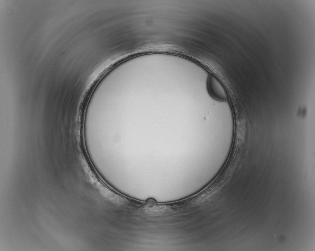 X0000115111046200911171301