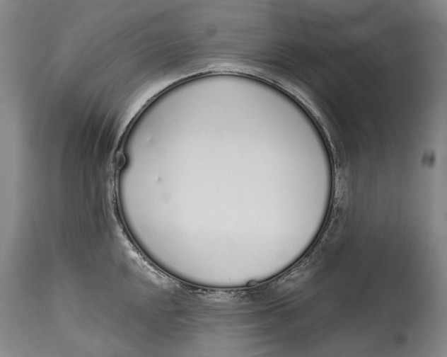 X0000115111048200911171301