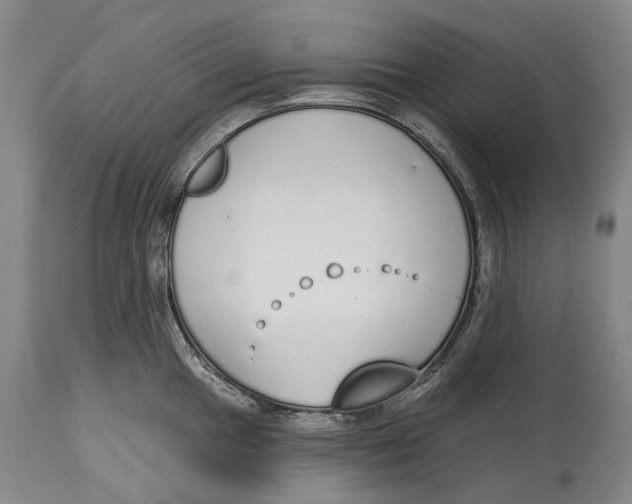 X0000115111049200911171301