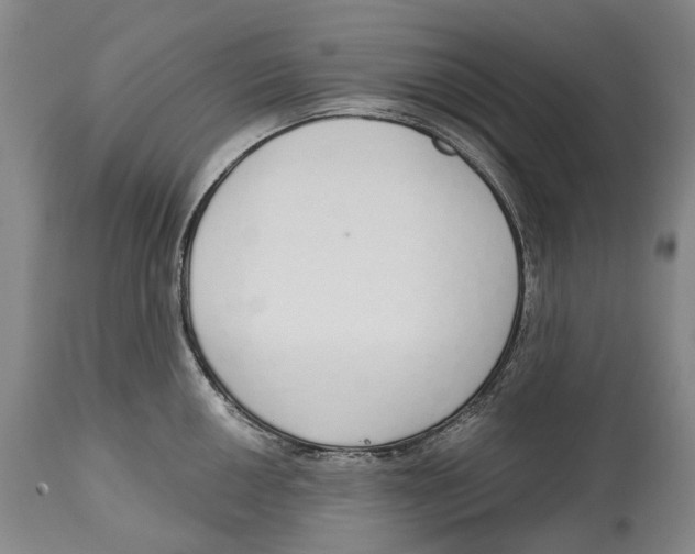 X0000115111050200911171301