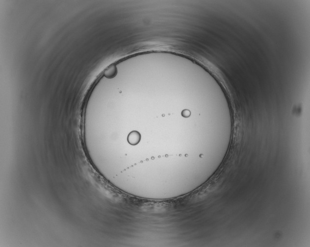 X0000115111051200911171301
