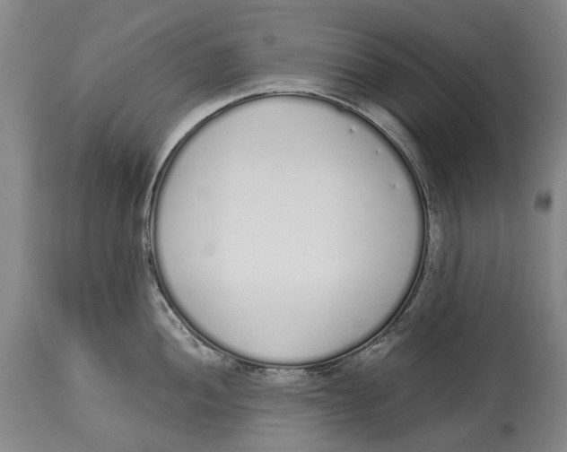 X0000115111052200911171301