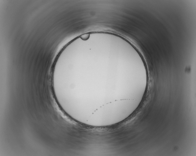 X0000115111053200911171301