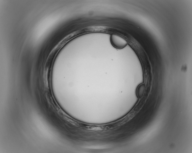 X0000115111054200911171301