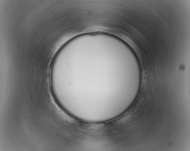 X0000115111055200911171301