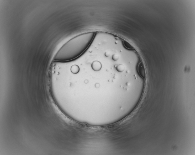 X0000115111056200911171301