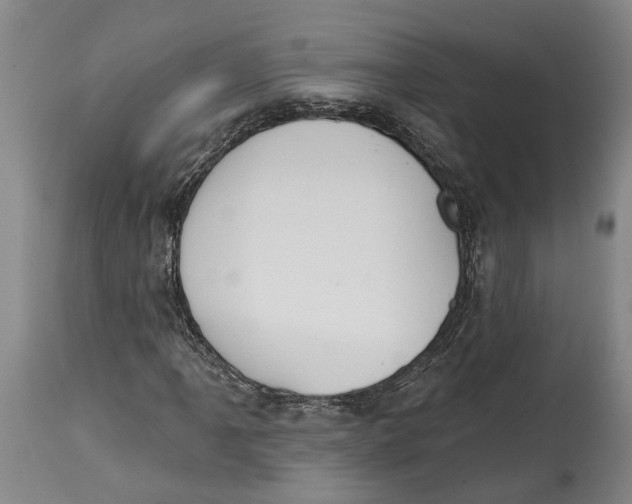X0000115111061200911171300