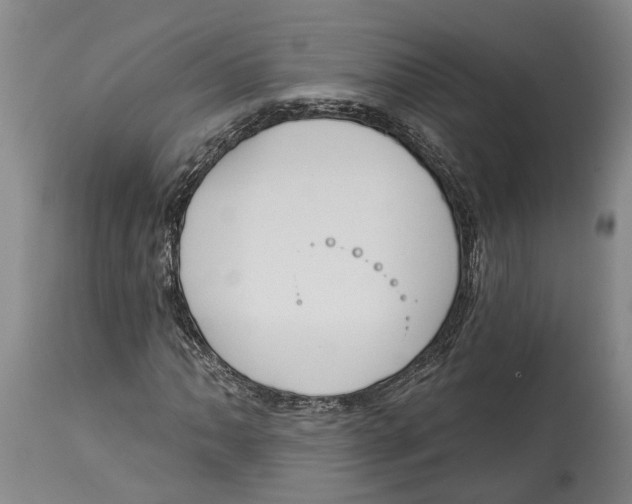 X0000115111062200911171300