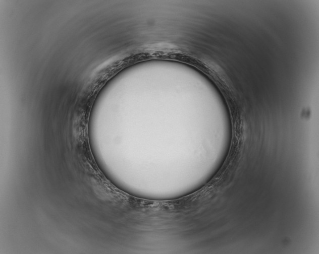 X0000115111063200911171300