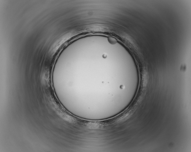 X0000115111065200911171300