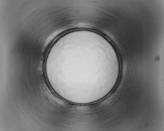 X0000115111066200911171300