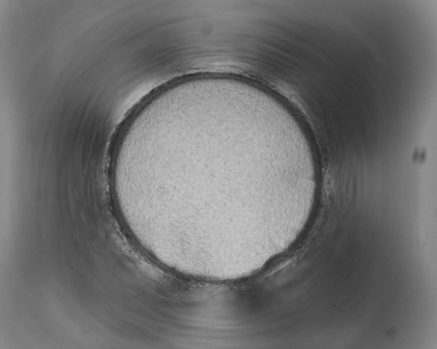 X0000115111071200911171300