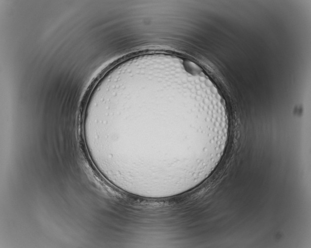 X0000115111076200911171300