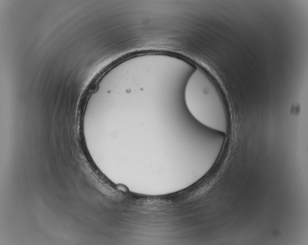 X0000115111077200911171300