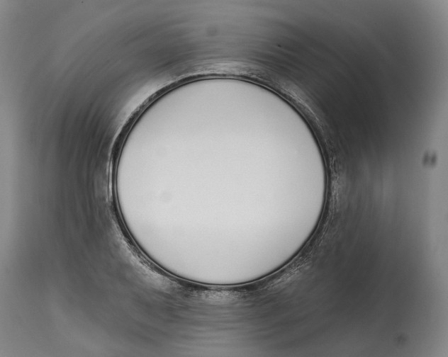 X0000115111079200911171300