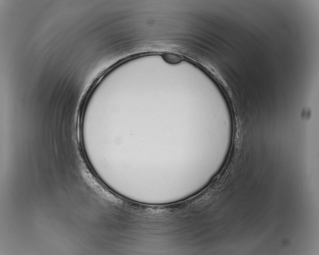 X0000115111080200911171300
