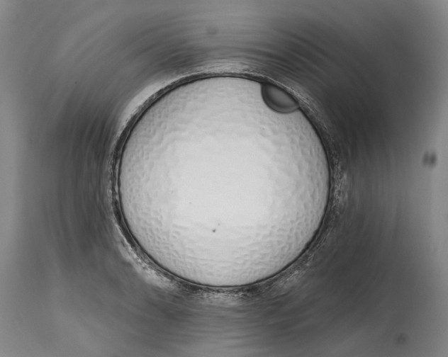 X0000115111086200911171259