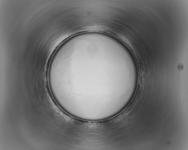X0000115111087200911171259