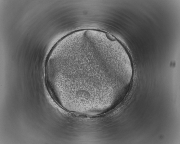 X0000115111088200911171259