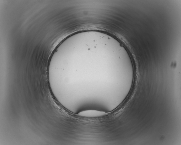 X0000115111089200911171259