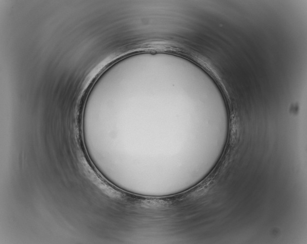X0000115111091200911171259