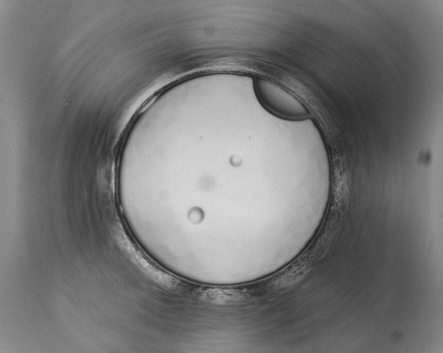 X0000115111092200911171259