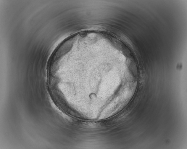X0000115111095200911171259