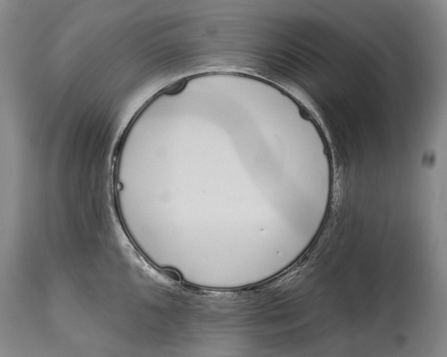X0000115111096200911171259