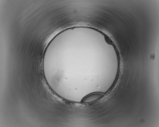 X0000115111097200911171259