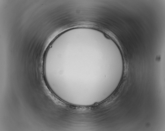 X0000115111099200911171259