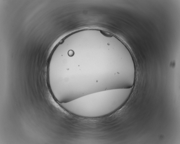 X0000115111100200911171259