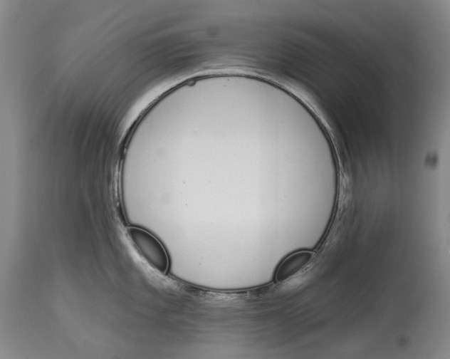 X0000115111101200911171259