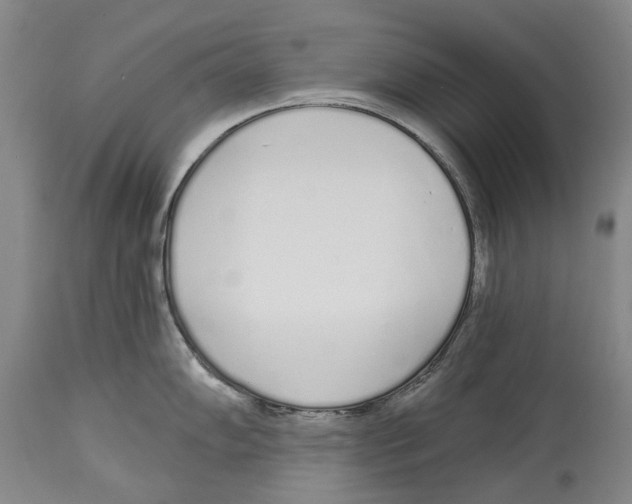 X0000115111102200911171259