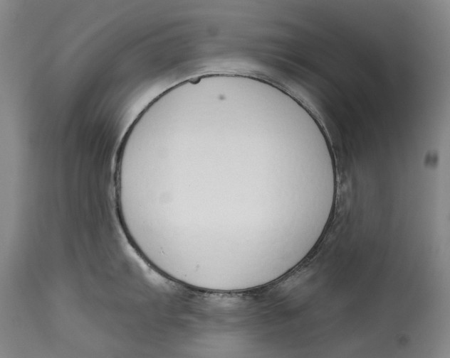 X0000115111103200911171259