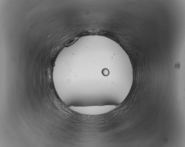 X0000115111106200911171258