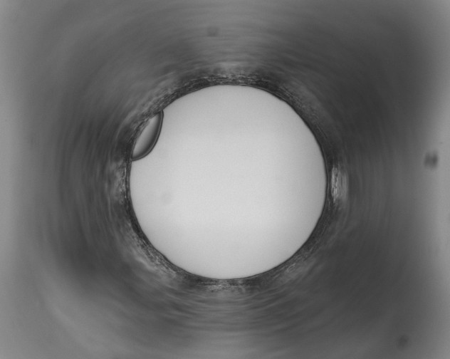 X0000115111107200911171258