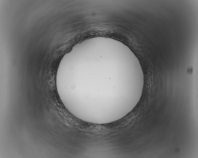 X0000115111109200911171258