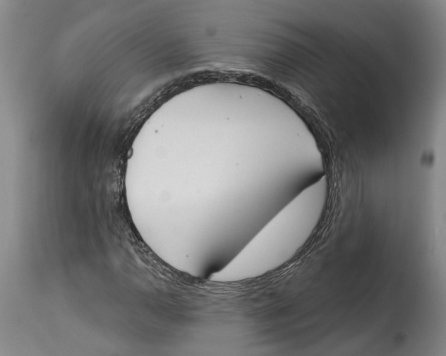 X0000115111110200911171258
