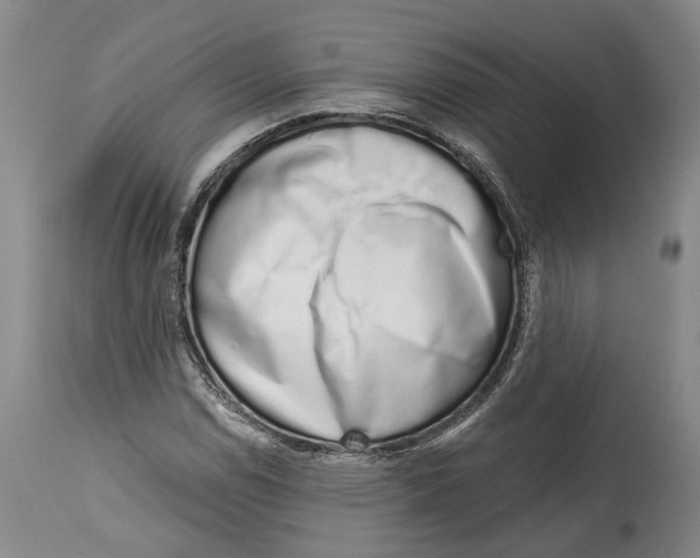 X0000115111114200911171259