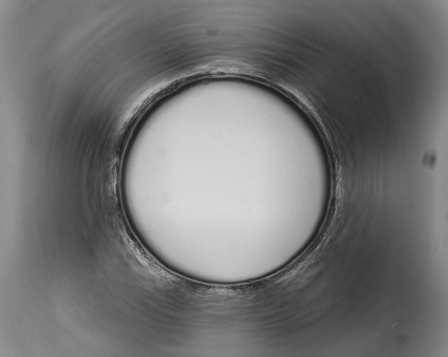 X0000115111115200911171259